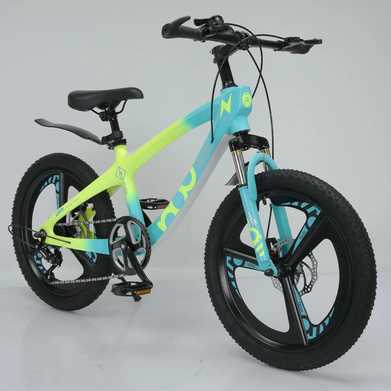 20 Inch Mountain Bike Mg Alloy Frame Suspension Bicycle Hebei Factory