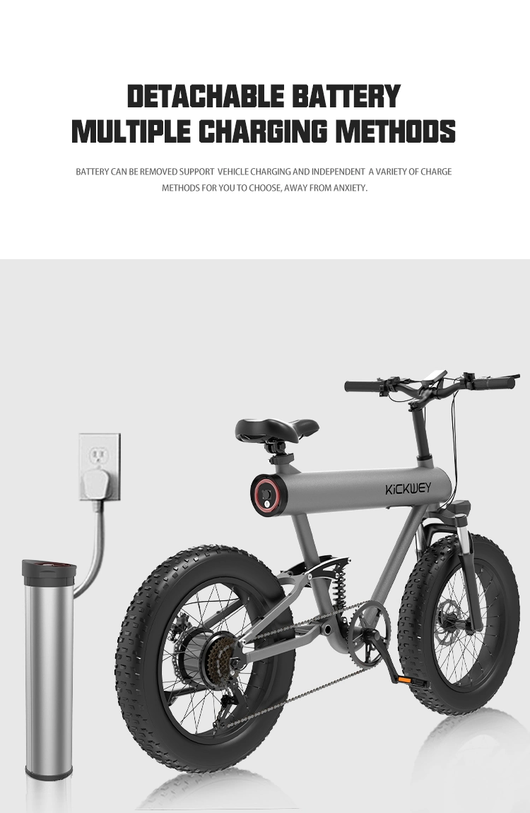 Manufacturer New Design Fat Tire Ebike with 10ah 48V 500W E-Bike