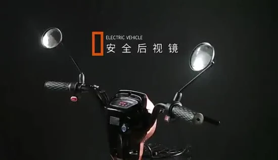 중국어 공급 맞춤형 컬러 로고 48V 350W 12A 전기 자전거 성인용 전기 자전거 전자 자전거